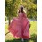 French Vintage Square Neck Puff Sleeve Dress for Women, Pink Plaid Maxi Swing Skirt in Country Style - Perfect for Holiday Getaways, Picnics and Parties